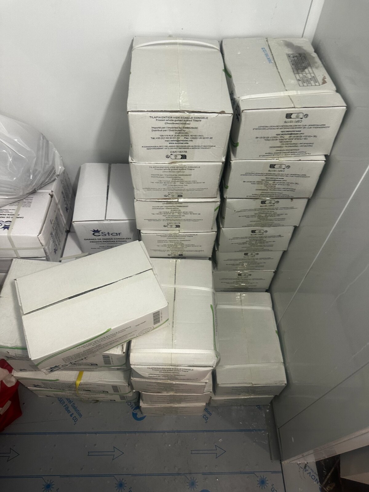 Boxes of frozen tilapia stocked in TEGA AFRO STORE's cold room